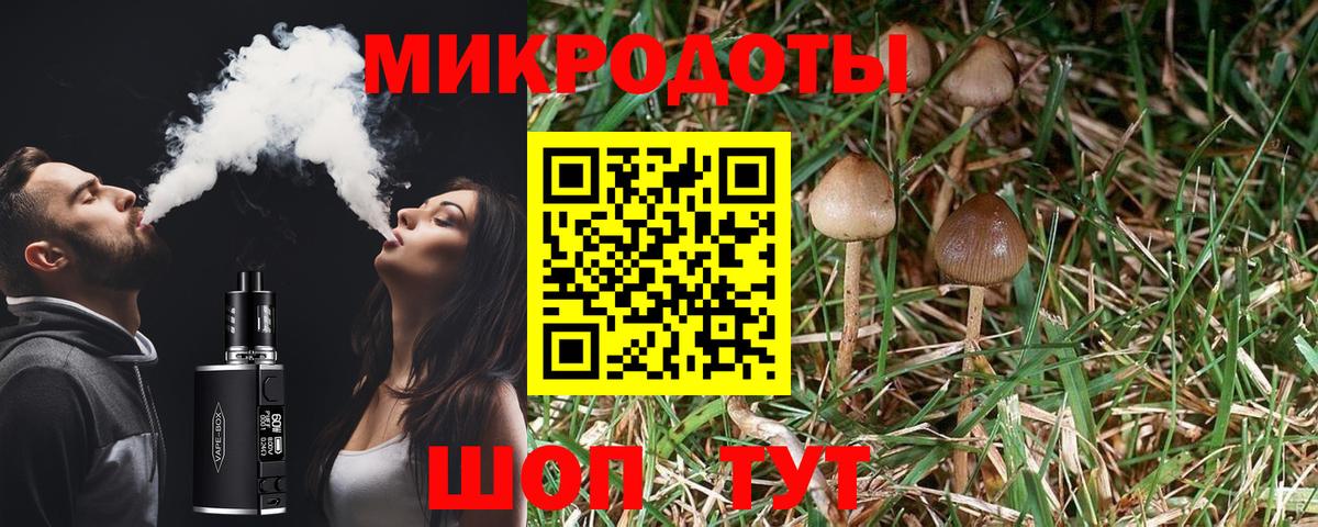 Чита  Псилоцибиновые грибы мухоморы  Вход с VPN  Галлюциногенные грибы MAGIC MUSHROOMS 